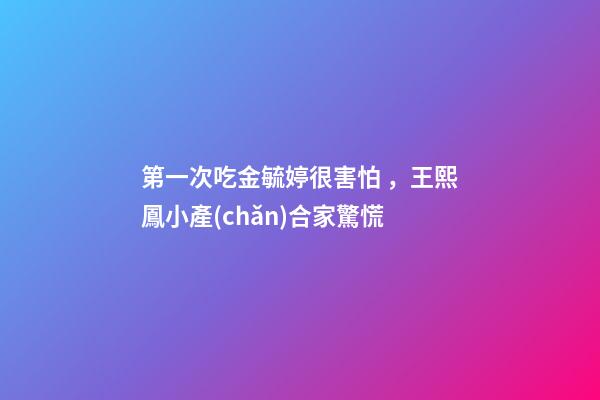 第一次吃金毓婷很害怕，王熙鳳小產(chǎn)合家驚慌-第1張-觀點-玄機派